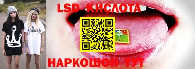 шишки Севастополь