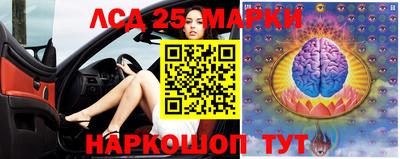 spice Свободный
