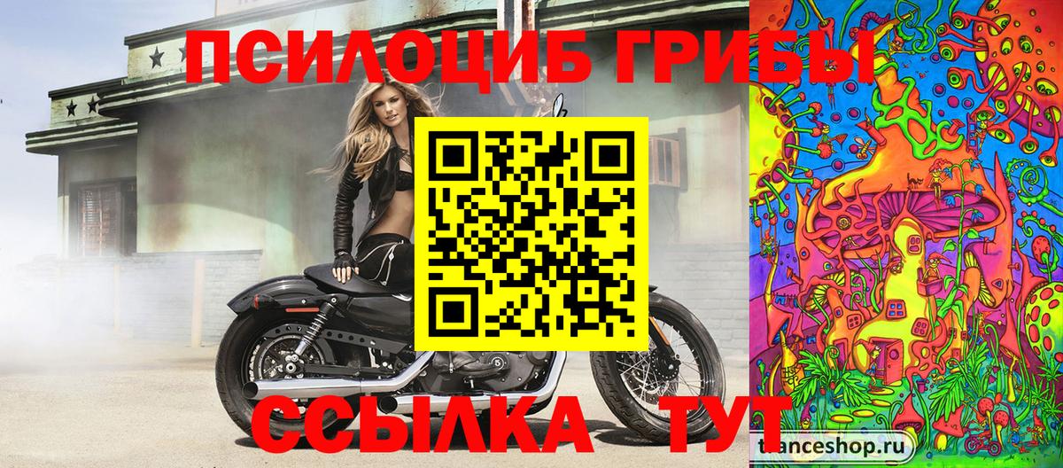Псилоцибиновые грибы Magic Shrooms Семилуки