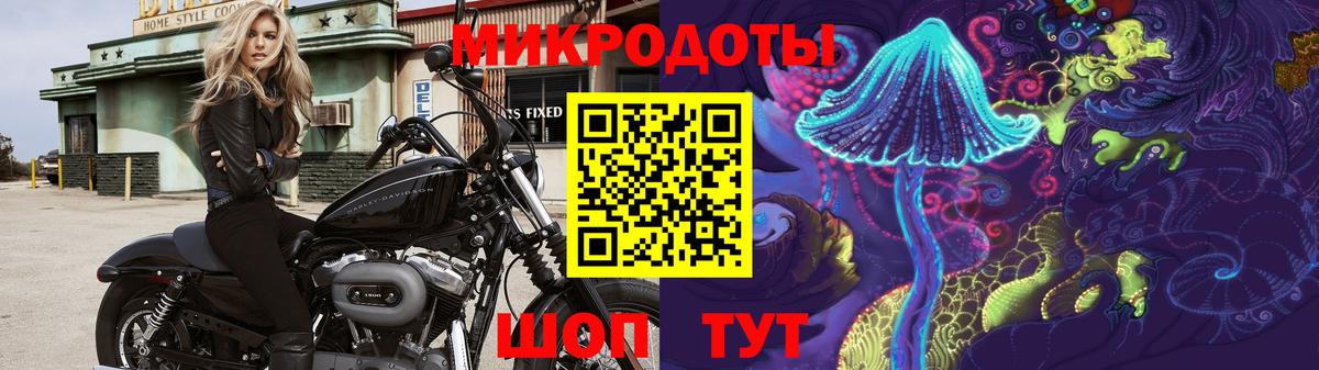 Семилуки  сколько стоит  Вход с VPN  Псилоцибиновые грибы Psilocybine cubensis 
